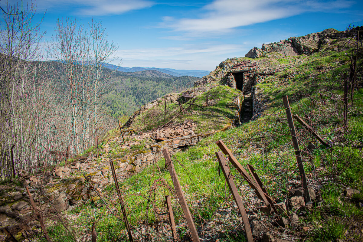 hartmannswillerkopf-vieil-armand-vosges-france-alsace-premiere-guerre-mondial-tranchee Hartmannswillerkopf WWI Battlefield