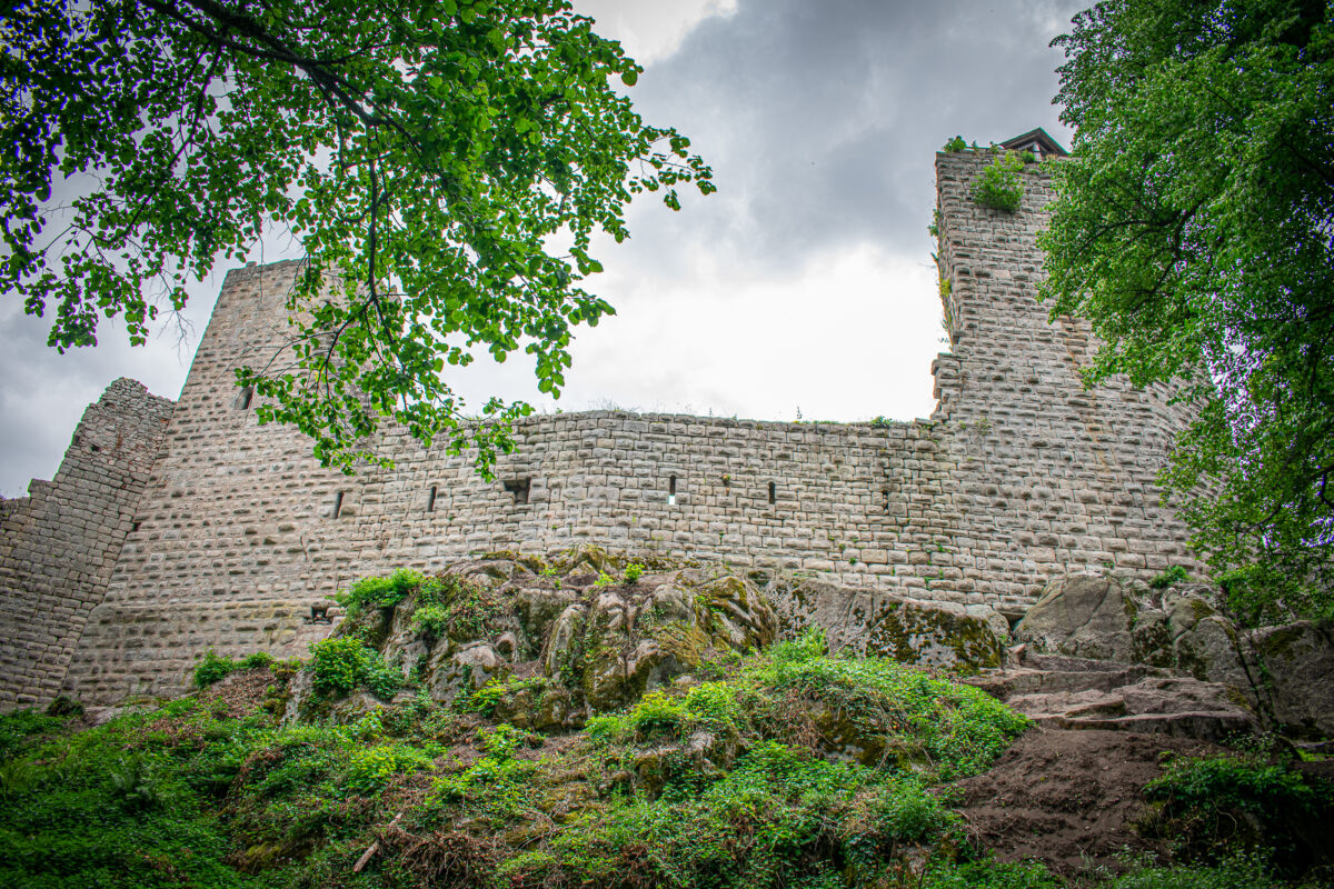 Château du Bernstein