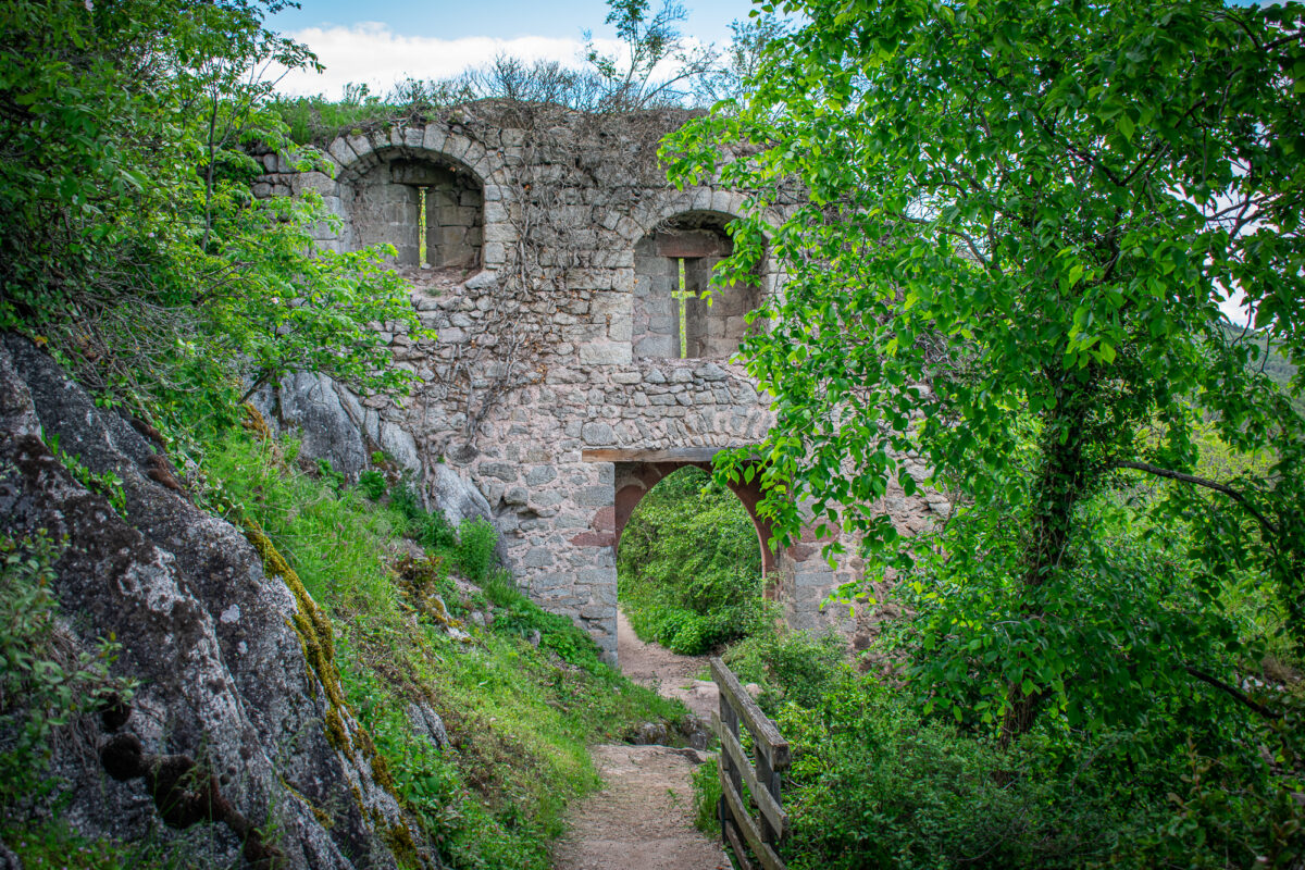 ortenbourg-castle-alsace-france-guided-tour-medieval-hiking Château d'Ortenbourg