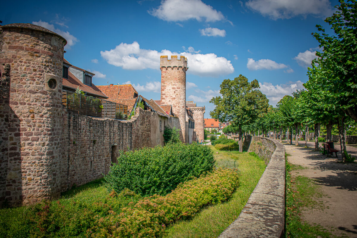 obernai-alsace-france-tours-medieval obernai-alsace-france-tours-medieval